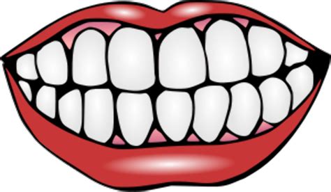 Download High Quality Mouth Clipart Small Transparent Png Images Art