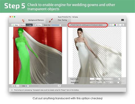 Sign in to your free adobe account. Photo Background Remover Alternatives and Similar Software ...