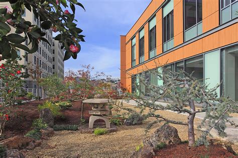 Announcing Our New Name Osher Center For Integrative Health Ucsf