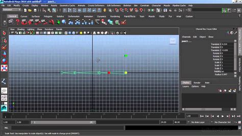 Autodesk Maya 2014 Tutorial Understanding Joints Youtube