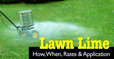 Lime For Lawns How When Rates And Application