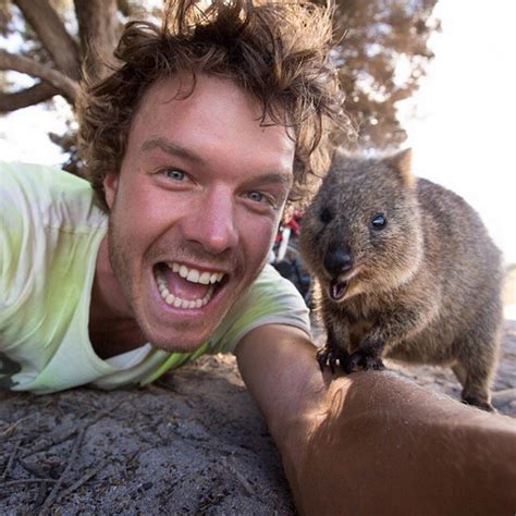 Back then, they were mistaken for large rats by a dutch visitor who named the island the rat's nest in dutch, which later. This Australian Selfie Trend May Single-Handedly Be The ...