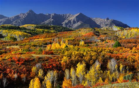Best Places To See Fall Color In Colorado Colorado Home