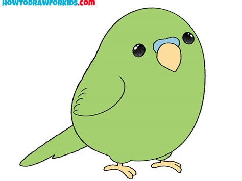 How To Draw A Parakeet Easy Drawing Tutorial For Kids