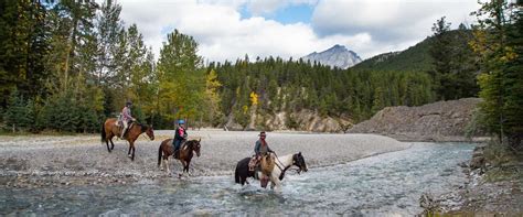 Spray River Horseback Ride Ride Near Fairmont In Banff