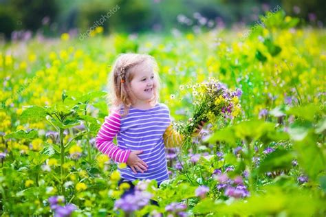 Little Girl Picking Wild Flowers In A Field — Stock Photo © Famveldman