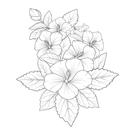 Dibujo Vectorial Dibujado A Mano Ilustración Lápiz Arte Flor De Hibisco