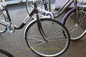 璐兒詩＊我的第三台自行車 - a3677654的創作 - 巴哈姆特