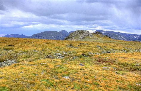 Overview Of The Tundra Landscape At Rocky Mountains