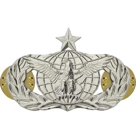 Air Force Badge Force Protection Senior Midsize Ebay