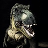 Paleontologists Stunning Conclusion: 2.5 Billion T. Rexes Roamed North ...