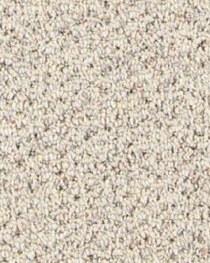 11 Best Shaw Carpet Neutral Colors Ideas Shaw Carpet Carpet Stair