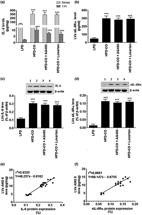 Serum Levels Of Interleukin‐6 Il‐6 And Left Ventricular Protein