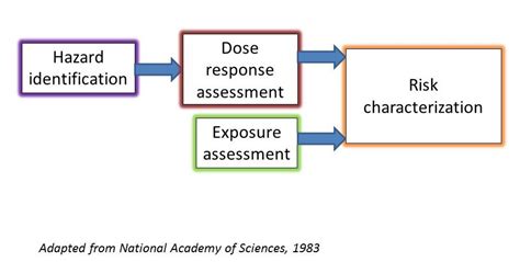 Human Health Risk Assessment Toxicology Education Foundation