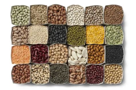 what is the healthiest bean a comprehensive guide well in truth