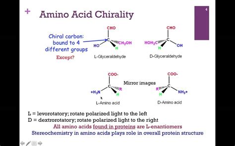 Are you considering amino acid supplements? 015-Amino Acid Structure/Hydrophobic Amino Acids - YouTube