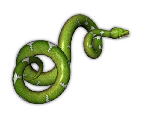 Green Snake Transparent Background Png Mart