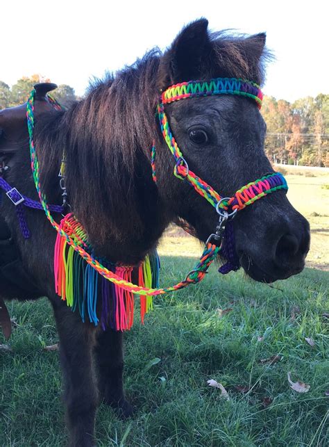 Pony Miniature Horse Fringe Breast Collar Pony Tack Rainbow Etsy