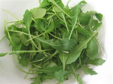 How To Grow Arugula Dengarden