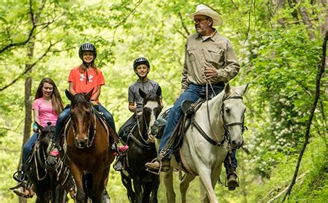 Premiere Horseback Riding In Pigeon Forge Five Oaks Riding Stables