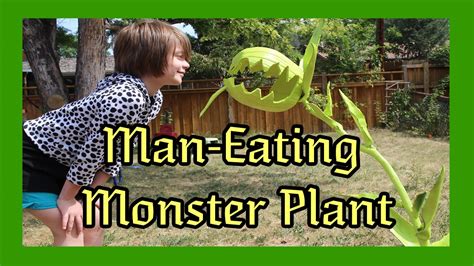 Man Eating Plant Art And Collectibles Felting