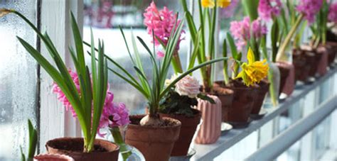 Any day is a good time to send flowers and put a smile on someone's face. Send Flowers Across United States (USA), Same Day Florist ...