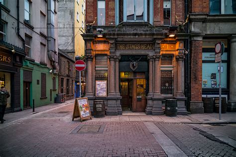 Stags Head Dublin By Timothy Hyde Susan Spiritus Gallery