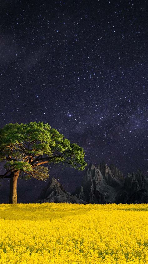 Night Nature Landscape Iphone Wallpaper Hd Iphone Wallpapers Iphone