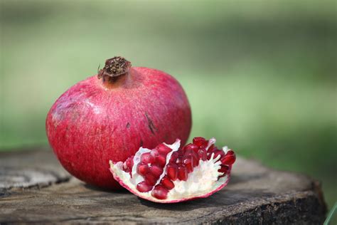 Free Images Apple Fruit Berry Flower Food Red Produce