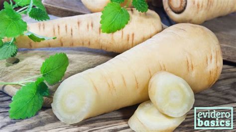 Besonders beliebt ist pastinakencremesuppe und pastinakenpüree (oft mit kartoffeln vermischt). Pastinaken sind sehr gesund für den Darm | evidero