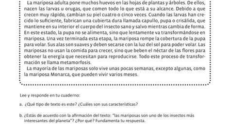 Fichas Comprension Lectora Segundo Ciclo 013 Orientación Andújar