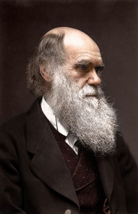 Charles Darwin By Zuzahin On Deviantart