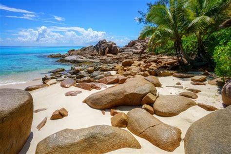 Que faire aux Seychelles top des activités incontournables Chalet