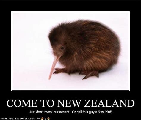 only in new zealand funny new zealand pictures funny indian pictures gallery funnyindianpicz