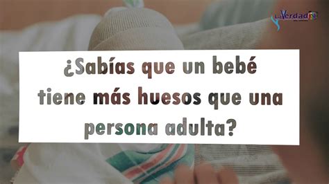 ¿sabías Que Un Bebé Tiene Más Huesos Que Una Persona Adulta Youtube