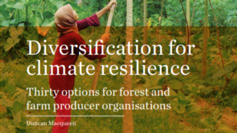 Diversification For Climate Resilience Thirty Options For Forest And Farm Producer
