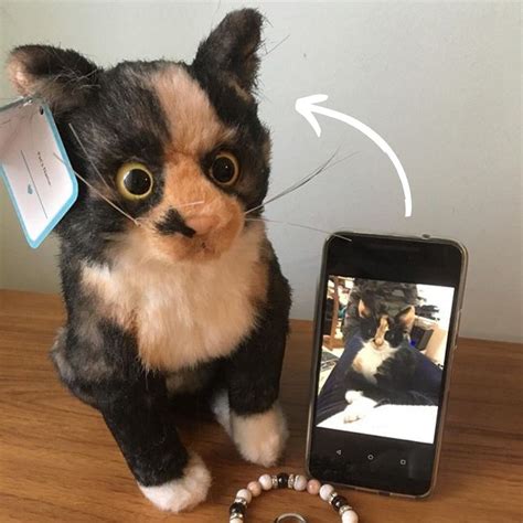 Make A Custom Stuffed Animal Of Your Cat Petsies