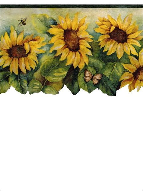 Sunflowers Butterflies And Dragonflies Border Bg71362dc By Norwall