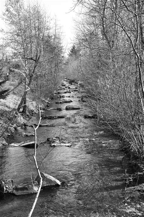 River Stream Brook Flowing Free Photo On Pixabay Pixabay