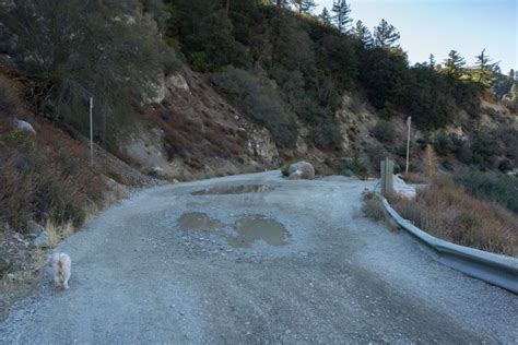 Hiking Stoddard Peak Via Barrett Stoddard Road Mt Baldy Ca Trail