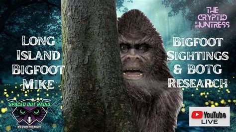 Bigfoot Sightings Screams And Boots On The Ground Field Research