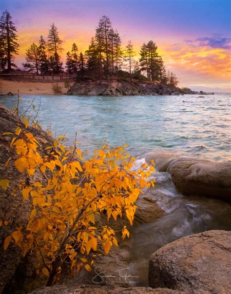 Lake Tahoe Photography Waterscape Fall Print Fall Foliage Etsy