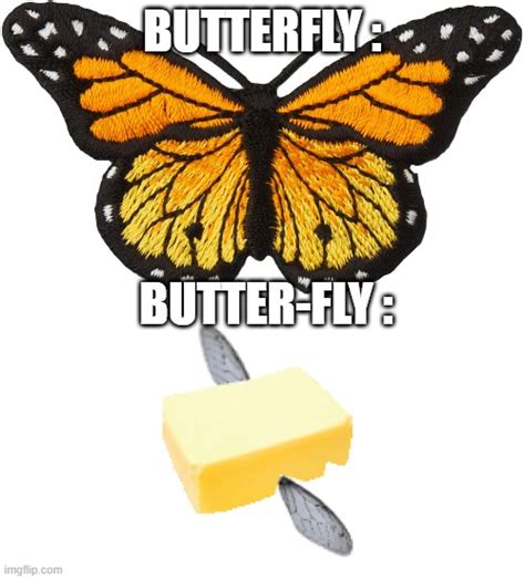 Butter Fly Imgflip
