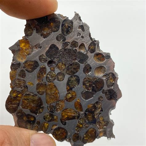 Sericho Meteorite Polished Slice 255 G Catawiki