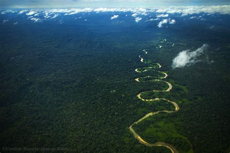 Amazon Sacred Headwaters Gogel