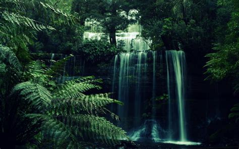 Forest Waterfall Hd Wallpapers On Wallpaperdog