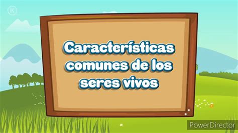 Los Seres Vivos Youtube