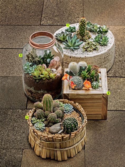 How To Make Mini Succulent And Cacti Gardens In 15 Min