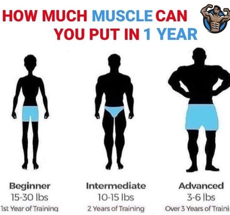 How Much Muscle Can You Put In 1 Year Fitness Motivation Big Muscles