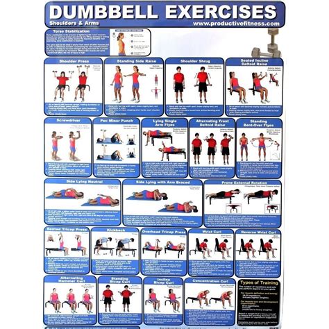 Productive Fitness Poster Series Dumbbell Exercises Upper And Core
